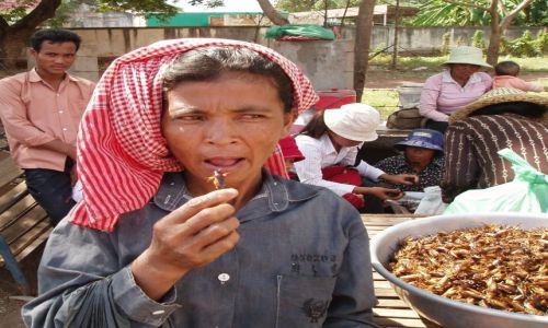 Zdjecie KAMBODA / Skun / Skun / mniam