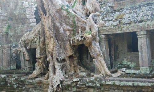 Zdjecie KAMBODżA / brak / Okolice Siem Reap / Świątynie Angkoru 2