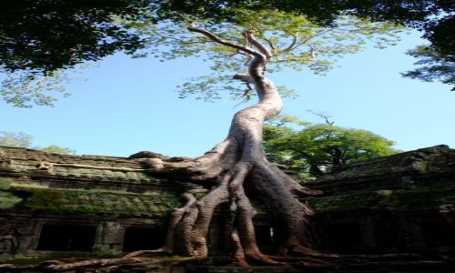 Zdjecie KAMBODżA / Siam Reap / Angkor Wat / Angkkor...wycieczka w inny wymiar...