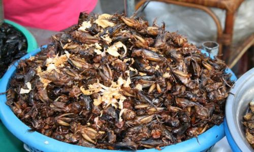 Zdjęcie KAMBODżA / brak / Pnom Penh / Przysmaki  ulicznego targu