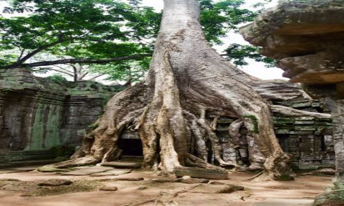 Zdjcie KAMBODA / brak / Kamboda  /Angkor Wath / Angkor Wath