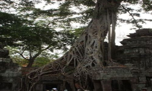 Zdjecie KAMBODżA / brak / Siem Reap / Angkor Wat