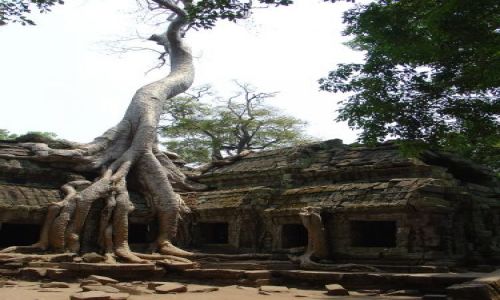 Zdjecie KAMBODA / brak / Siem Reap / Angkor Wat