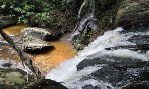 Zdjecie KAMBODA / pnocnp-zachodni / Siem Reap / Kbal Spean-rzeka 1000 lingamw