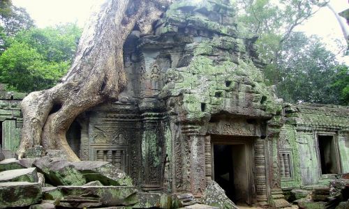 Zdjecie KAMBODA / okolice Siem Reap / switynia Preah Khan / pochaniana przez dungl wiatynia Preah Khan