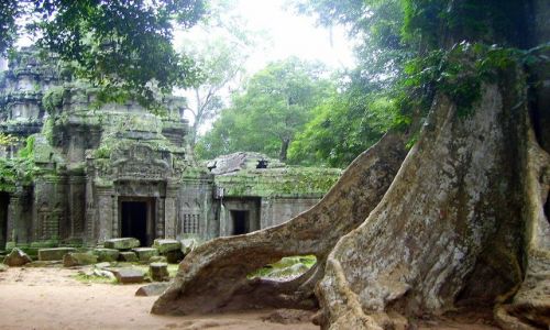 Zdjecie KAMBODA / okolice Siem Reap / zesp Angkor Wat / natura kontra dzieo czowieka