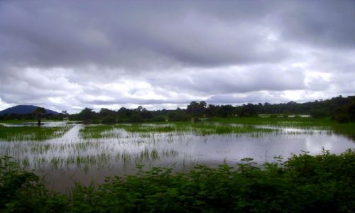 KAMBODA / okolice Siem Reap / okolice Siem Reap / krajobraz po ulewie