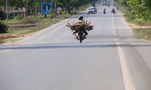 Zdjecie KAMBODA / azja / sieam rip / motorower z ......