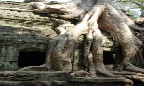 Zdjecie KAMBODA / brak / Angkor Wat / Siem Reap