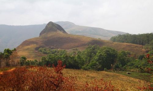 Zdjęcie KAMERUN / Bamenda / Bamenda / Bamenda Highlands
