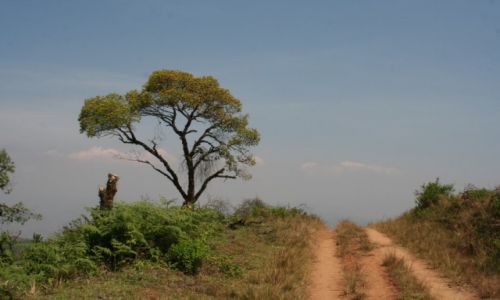 Zdjecie KAMERUN / Northwesternt Prowince / Gry Bamenda Highlands / Droga do Krateru Mbi