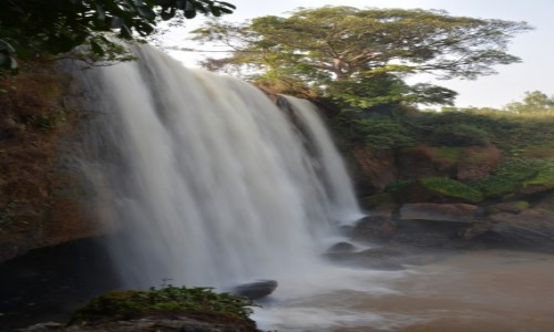 Zdjcie KAMERUN / Prowincja Zachodnia / Bafoussam / Wodospad Metche