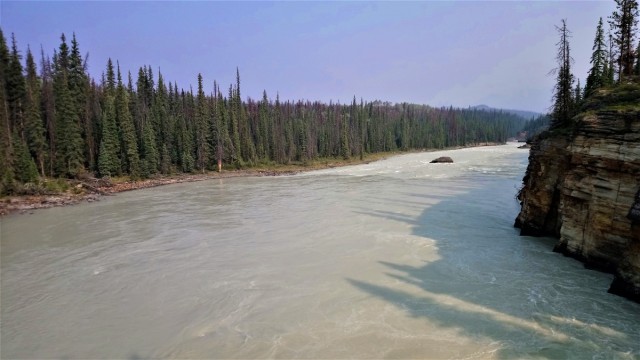 Zdj cia: Jasper PN, Alberta, rzeka Athabaska, KANADA