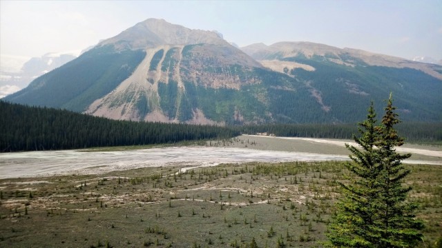 Zdj cia: Banff NP, Alberta, Dolina w pobliu lodowca, KANADA