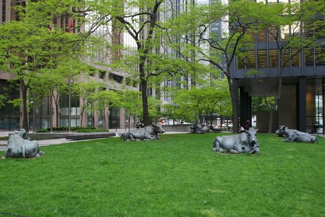 Zdjęcia: Toronto centrum miasta, Ontario, na pastwisku, KANADA Zdjęcia: Toronto centrum miasta, Ontario, na pastwisku, KANADA