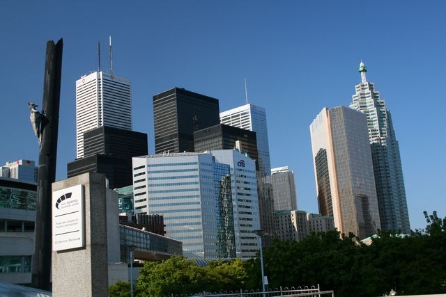 Zdjęcia: Toronto, Ontario, dzięcioł, KANADA Zdjęcia: Toronto, Ontario, dzięcioł, KANADA