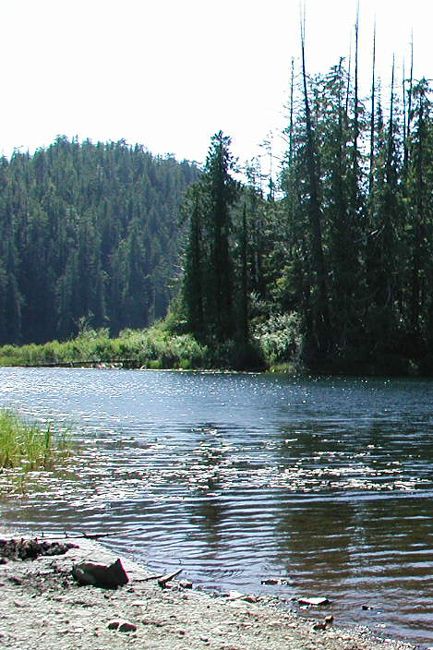 Zdjęcia: Vyspa Vancouver, Kolumbia Brytyjska, Wyprawa do Tofino, KANADA Zdjęcia: Vyspa Vancouver, Kolumbia Brytyjska, Wyprawa do Tofino, KANADA