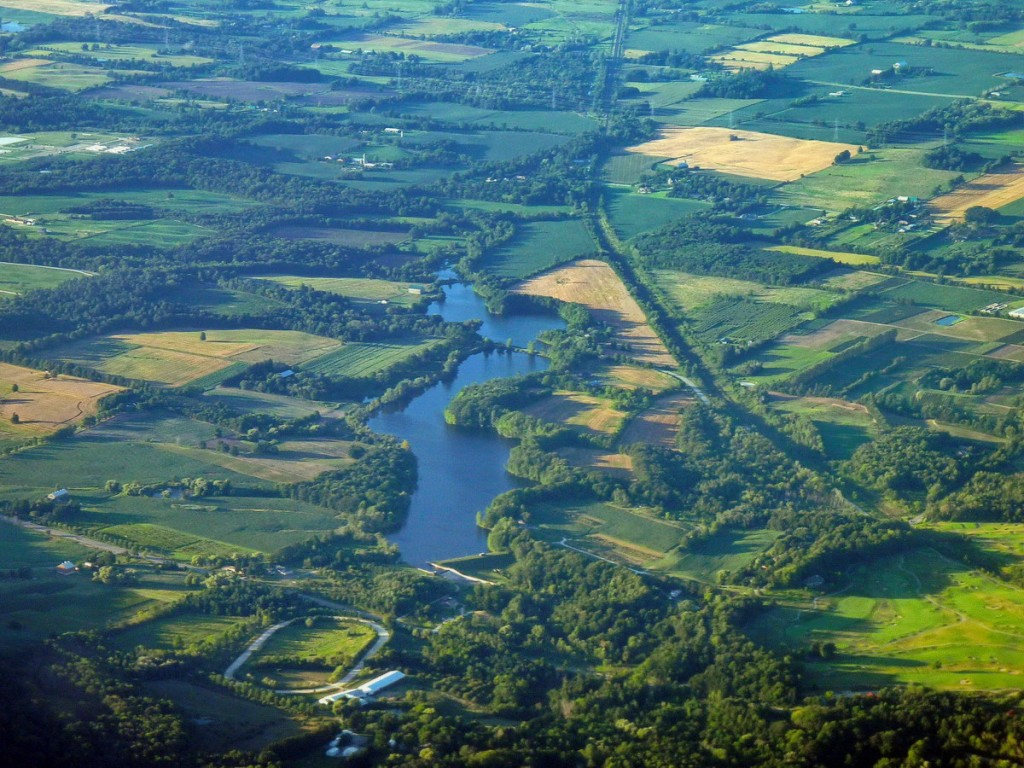 Zdjęcia: Ontario, Ontario, Łąki Ontario, KANADA Zdjęcia: Ontario, Ontario, Łąki Ontario, KANADA