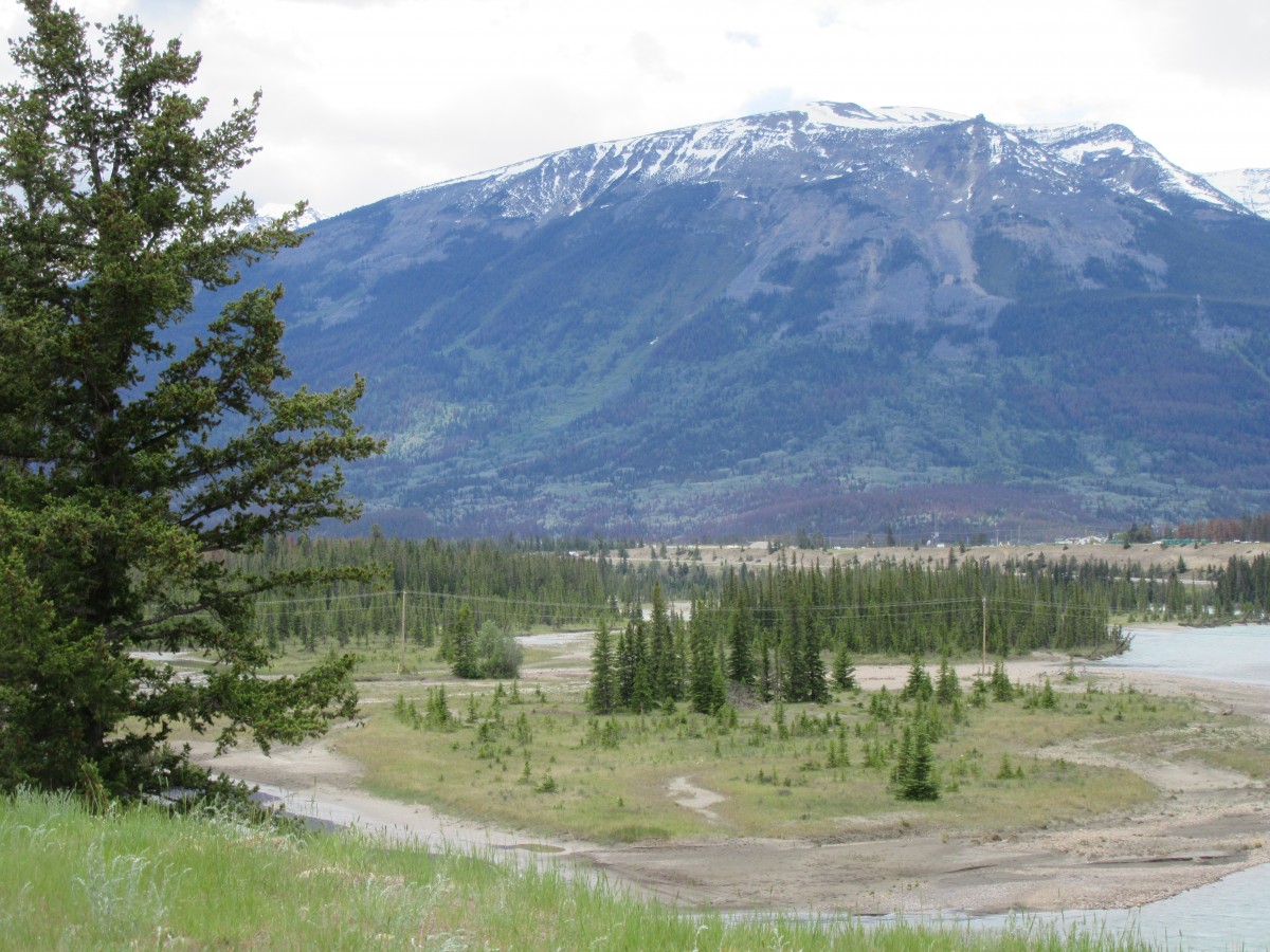 Zdjęcia: Jasper, Jasper - Park Narodowy, Jasper - Kanada, KANADA Zdjęcia: Jasper, Jasper - Park Narodowy, Jasper - Kanada, KANADA