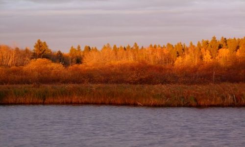 Zdjęcie KANADA / - / Manitoba / Riding Mountain National Park / Riding Mountain National Park