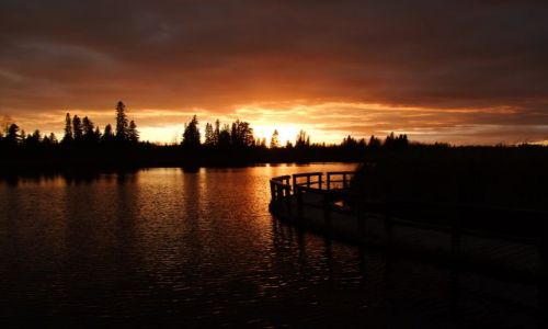 Zdjęcie KANADA / - / Manitoba / Riding Mountain National Park / zachod na bagnach