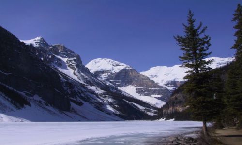 Zdjcie KANADA / Lake Louise / Okolice Calgary / Gry Skaliste
