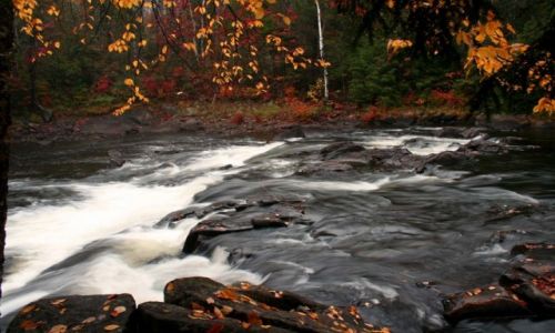 Zdj�cie KANADA / Ontario / Algonquin Park / Bystrzyny ko�o parku Algonquin