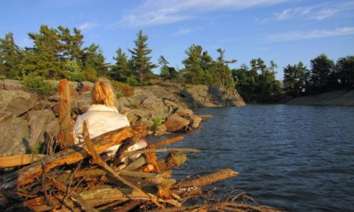 Zdjcie KANADA / Ontario / Wyspa Franklin Island na zatoce Georgian Bay / Zbieranie drzewa na ognisko