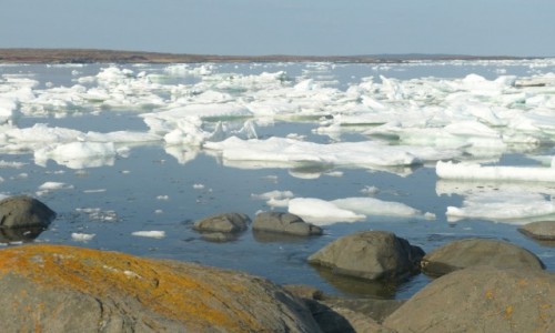 Zdj�cie KANADA / Nowa Fundlandia / L'anse aux Meadows / Kra