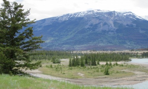 Zdjcie KANADA / Jasper - Park Narodowy / Jasper / Jasper - Kanada