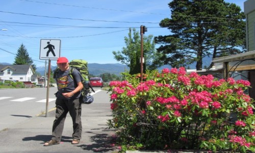 Zdjcie KANADA / Kanada / Kanada / Prince Rupert  -  Kanada