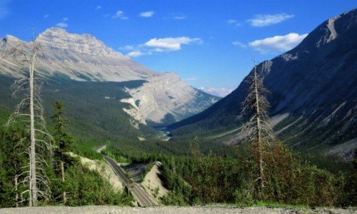 KANADA / Alberta / - / Droga