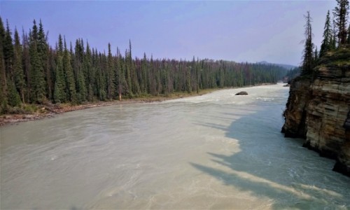 Zdjcie KANADA / Alberta / Jasper PN / rzeka Athabaska