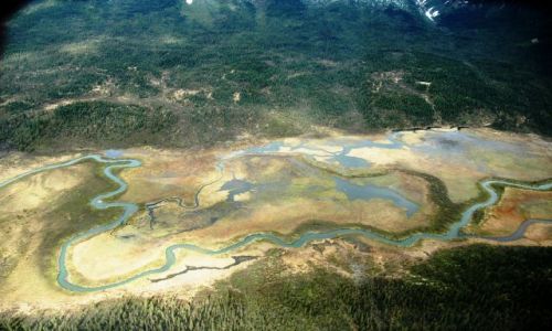 Zdjecie KANADA / YUKON / 50 km na pn wschd od Whitehorse / Rzeczka