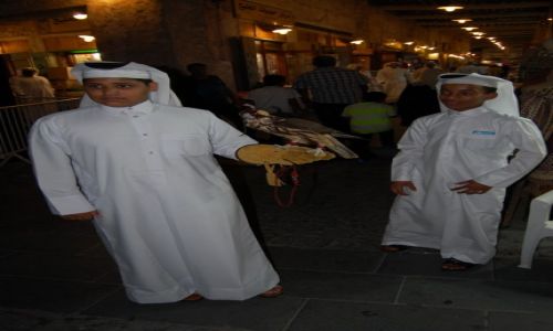 Zdjęcie KATAR / - / Doha / Bird