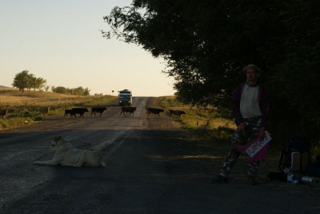 Zdjęcia: Ałma-Aty - Astana, Autostop, KAZACHSTAN Zdjęcia: Ałma-Aty - Astana, Autostop, KAZACHSTAN