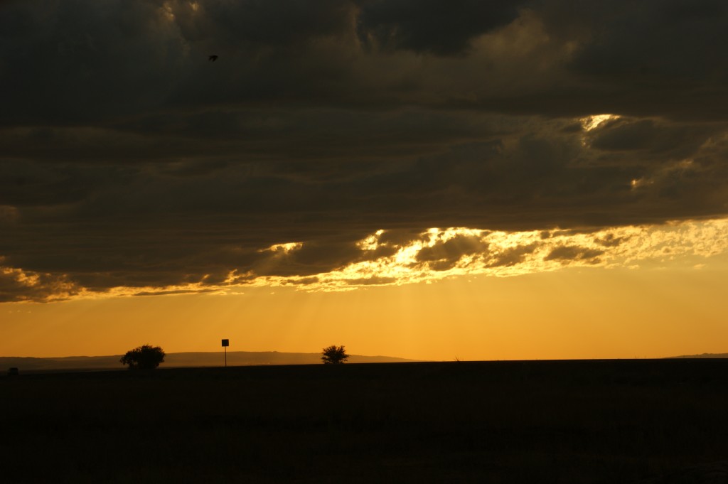 Zdjęcia: Ebro, Ebro, Nocką ciemną, KAZACHSTAN Zdjęcia: Ebro, Ebro, Nocką ciemną, KAZACHSTAN