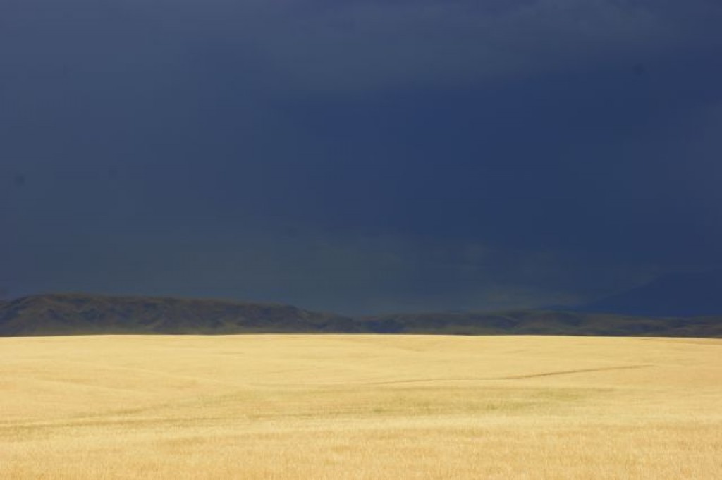Zdjęcia: Ebro, Ebro, ŁANY, KAZACHSTAN Zdjęcia: Ebro, Ebro, ŁANY, KAZACHSTAN