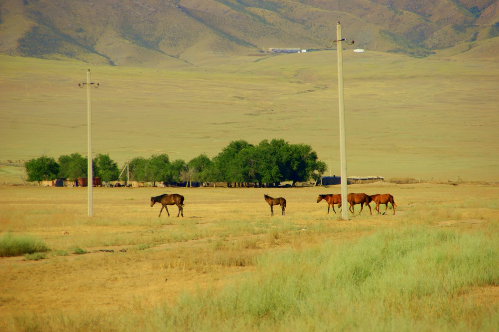 Zdjęcia: Ebro, Ebro, Panorama, KAZACHSTAN Zdjęcia: Ebro, Ebro, Panorama, KAZACHSTAN