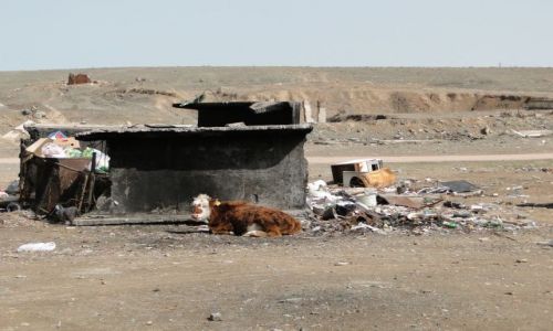 Zdjecie KAZACHSTAN / Aralsk / ..mietnik w Aralsku.... / Ja tu tylko le..