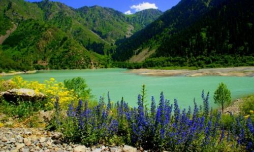 Zdjecie KAZACHSTAN / Kazachstan / Kazachstan / Ecik