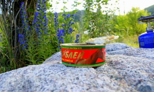 Zdjecie KAZACHSTAN / Medeo / Medeo / niadanie na  trawie