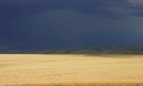 Zdjcie KAZACHSTAN / Ebro / Ebro / Zote  any