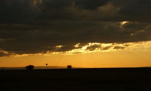 Zdjcie KAZACHSTAN / Ebro / Ebro / Nock ciemn