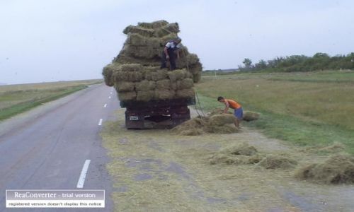 Zdjecie KAZACHSTAN / brak / za Pietropawowskiem / ,,