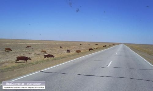 Zdjecie KAZACHSTAN / brak / almata bachasz / Krwki