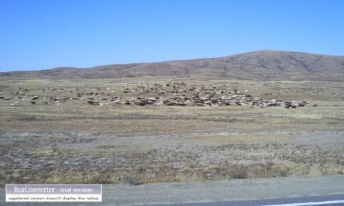 Zdjecie KAZACHSTAN / brak / gdzies w Kazachstanie / pan od krwek