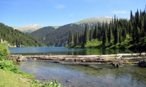 Zdjcie KAZACHSTAN / Poudniowy-wschd / Tienszan, jeziora Kolsai / 2500 mnpm