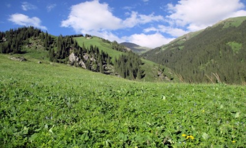 Zdjcie KAZACHSTAN / Poudniowy-wschd / Tienszan, jeziora Kolsai / ka pena zi