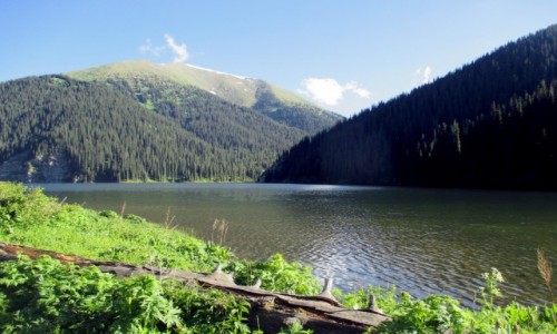 Zdjcie KAZACHSTAN / Poudniowy-wschd / Tienszan, jeziora Kolsai / Harmonia